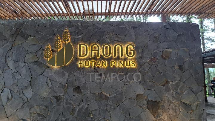 Menikmati Secangkir Kopi pada Tengah Hutan Pinus Bogor